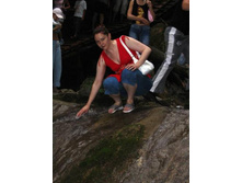 33 ��������