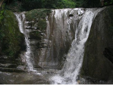 33 �������� (4)