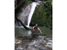 33 �������� (11)