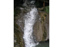 33 �������� (13)