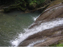 33 �������� (14)