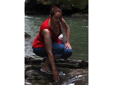 33 �������� (16)