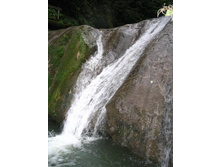 33 �������� (18)