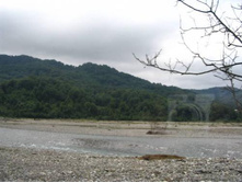 ������ (1)