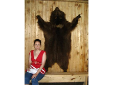 ���� � �������� �� ��������� �� ����������