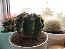 ��������� �������