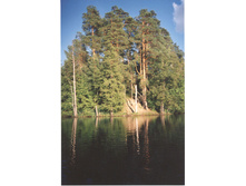 �� �������