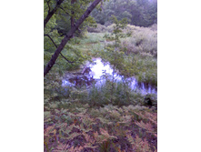 �������� ������� 2