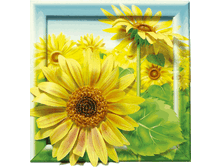 �� 41-301   (98���)