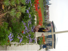 09.09.2010 2:48:20