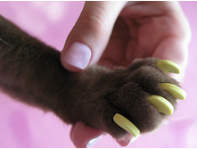 4. �������� �������� �� �����