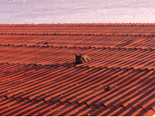 ������� ����...