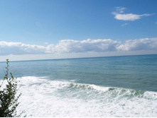 ��� � ������ �� �������� ����