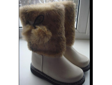 ����-������� ����