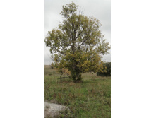 ��. ������