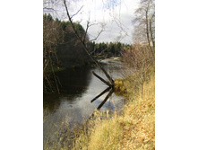 �����. ����� 2009 �.