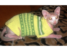 ������ ����������