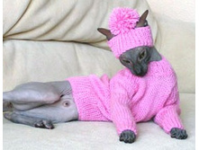 ������� �������� ������ � ������� ������� � �������