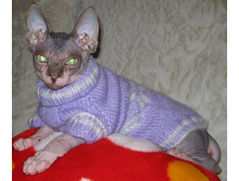 ���������� ������ � �������