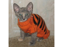 �������� ������