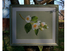 ��������  Beatrice