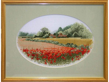 �������� ���� �������