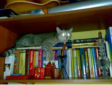 �������� ���!