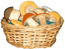 ����� (10 � �������)		151,00�.