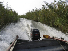 ��������� "�������".