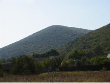 � ������ ���� �����