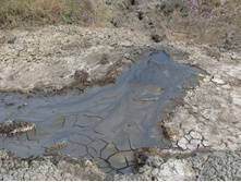 ...�� ������, � ���������. ������� ������� ����� 15 ��.