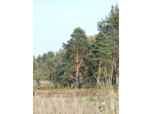 28.09.2010 0:12:51