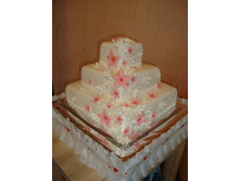 ��������� 9 ��