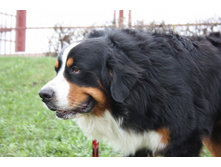 ������� ���������))