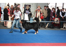 ������ 2010. 2���, ��, 2�����