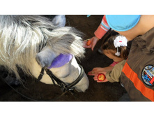 \"��� ������� - ��� ����� �������!\"