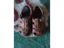 �������� �����. ������ 27