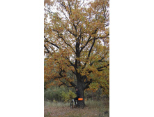 ��� ������ � ������ �������))