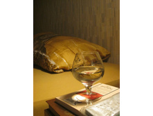 � ����. ������ - � ���� (�)