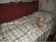 07.10.2010 15:39:13