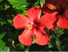 ������.������