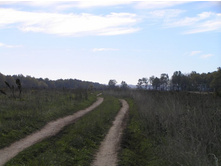 �������� �������!