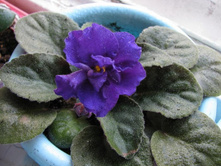 ������ ������ ����