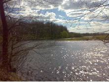 ���� �����, ����� �����