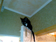 � ��� �����?