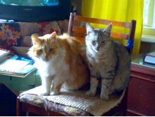 ����������