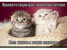 13.10.2010 22:49:11