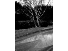 ���� ��������� ������