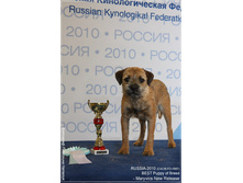 17.10.2010 11:27:37
