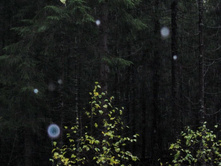 ��������� � ������� ����